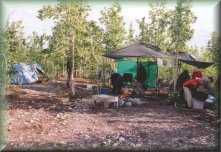 Mc Carthy Camping