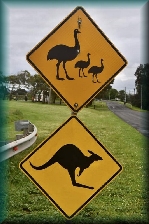 Australian Signs