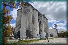 Coonalpyn Silo Mural