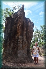 termietenheuvel