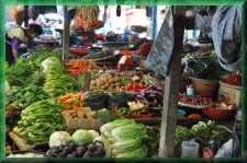 Lokale groentenmarkt