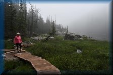 Bear Lake Trail
